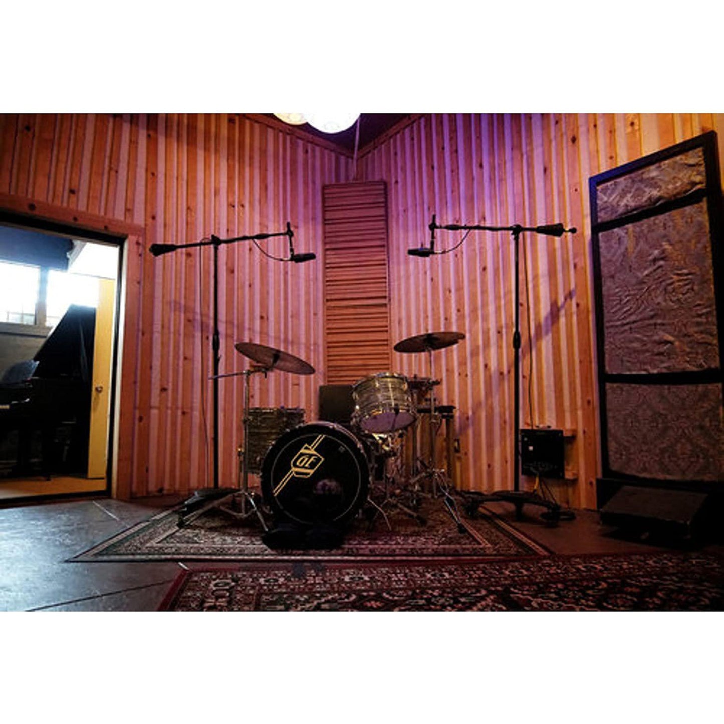 sE Electronics X1S Condenser Microphone