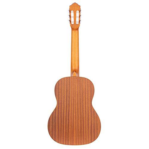 Ortega Guitars 6 String Family Series Full Size Nylon Classical Guitar w/Bag, Right, Cedar Top-Natural-Satin, (R122)