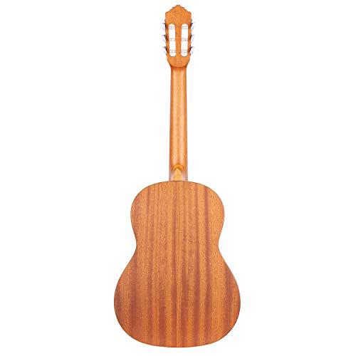 Ortega Guitars 6 Family Series Size Nylon String Classical Guitar w/Bag, Right, Cedar Top-Natural-Satin, Full - Slim Neck (R122SN)