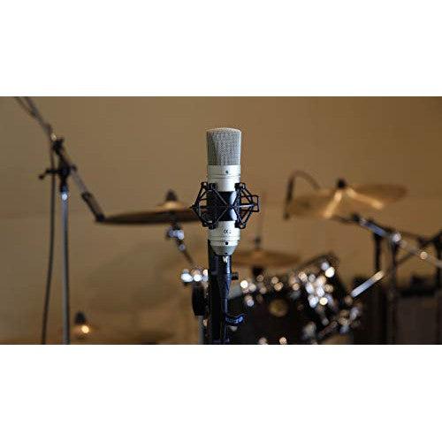 Tascam TM-80 Large Diaphagm Condenser Microphone,Silver