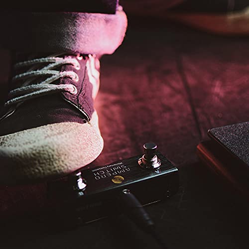 2 way foot pedal switch Hotone Dual Footswitch Pedal Momentary 2-Way Pedal Foot Switch Control – SDS AUDIOS