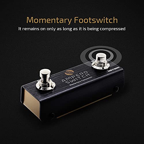 2 way foot pedal switch Hotone Dual Footswitch Pedal Momentary 2-Way Pedal Foot Switch Control – SDS AUDIOS