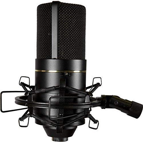 MXL 770 Condenser Microphone for Podcasting, Singing, Home Studio Recording, Gaming & Streaming | XLR | Large Diaphragm | Cardiod (Black)