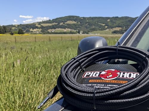 Pig Hog PTRS10 High Performance 1/4" TRS Instrument Cable, 10 Feet