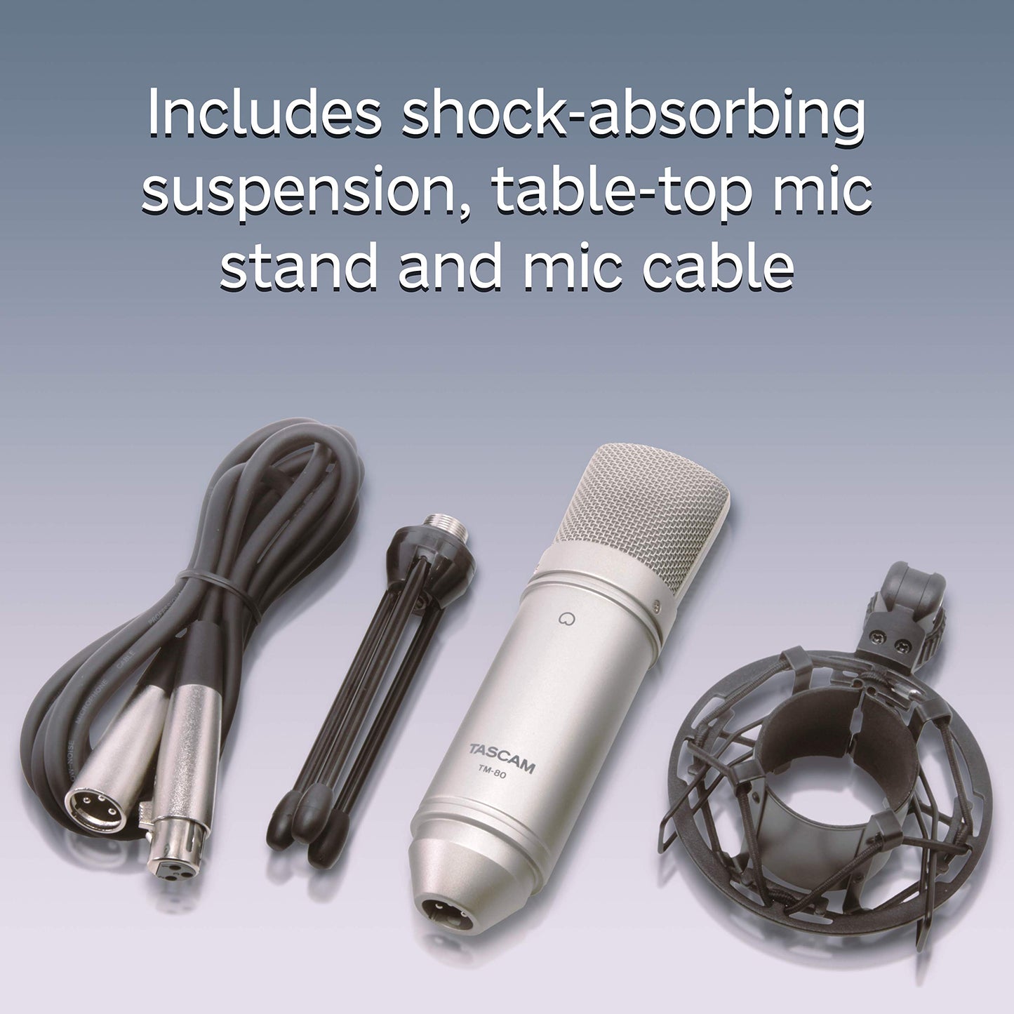 Tascam TM-80 Large Diaphagm Condenser Microphone,Silver