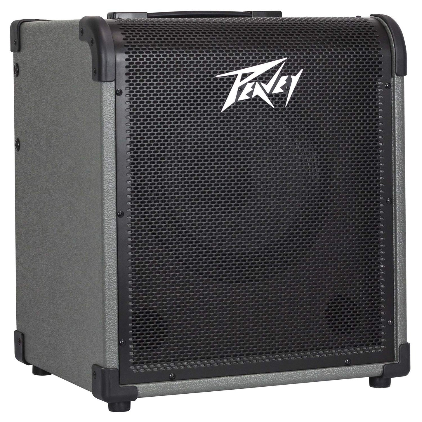 Peavey MAX 100 100-Watt Bass Amp Combo