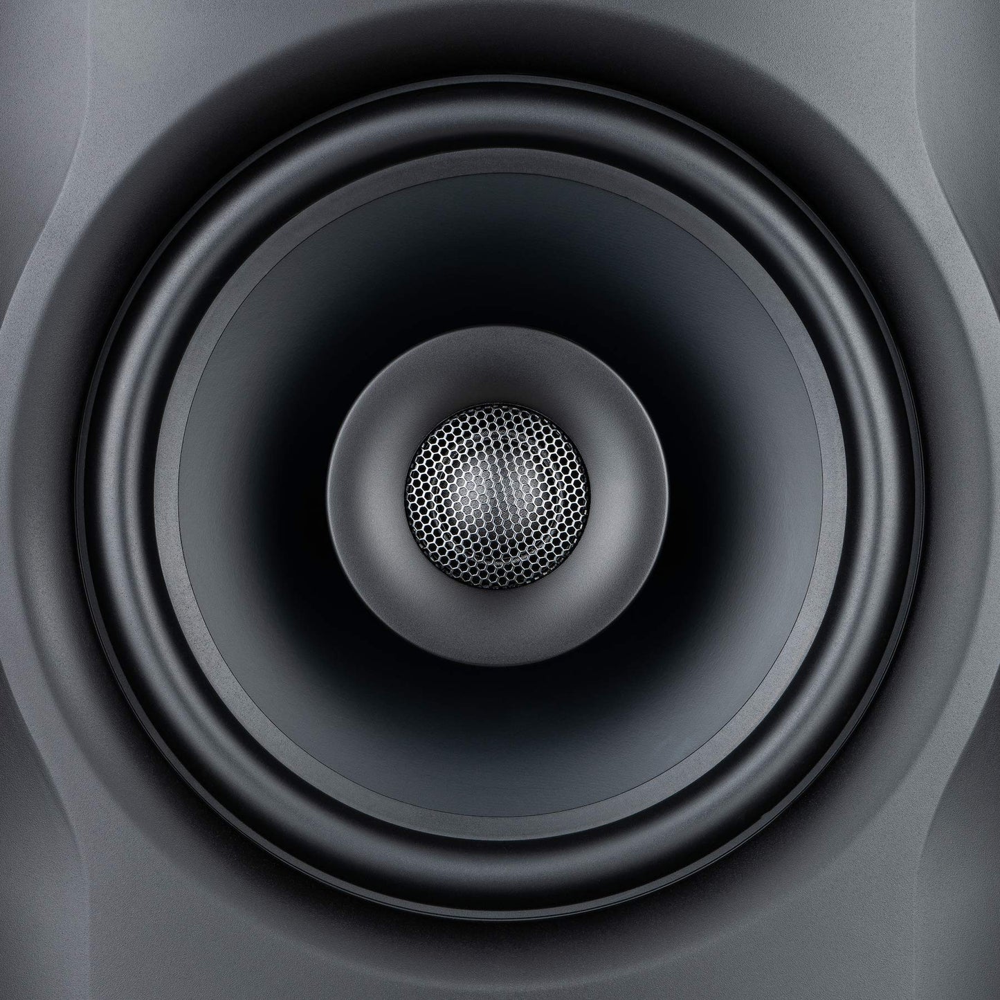 Fluid Audio FX80 Black : 8" Single Point Source Coax Reference Monitor, Bi-Amplified 110w 35Hz - 22kHz (+/-3db)