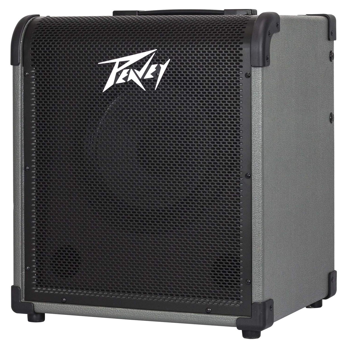 Peavey MAX 100 100-Watt Bass Amp Combo