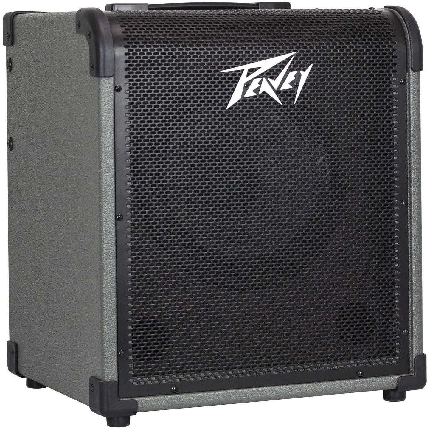 Peavey MAX 100 100-Watt Bass Amp Combo