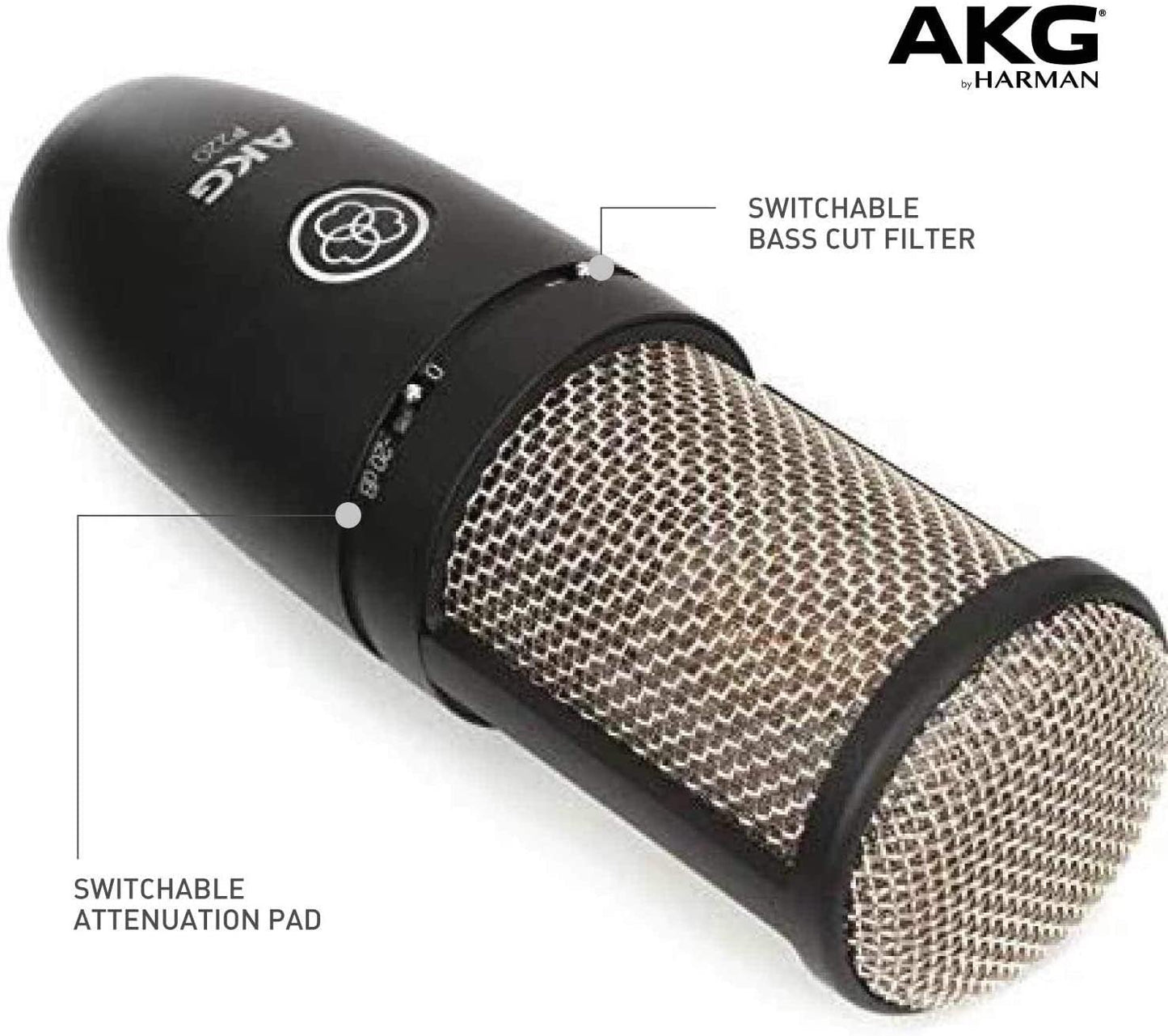 AKG Pro Audio P220 Vocal Condenser Microphone, Black