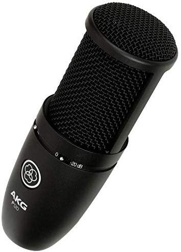 AKG P120 High-Performance General Purpose Recording Microphone