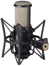 Load image into Gallery viewer, AKG Perception 220 Professional Studio Microphone